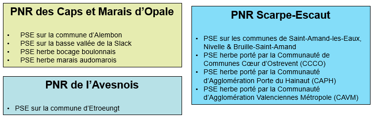 AEAP PSE